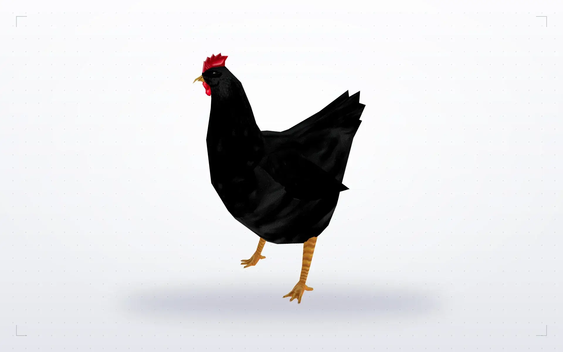 Black Hen — preview 2