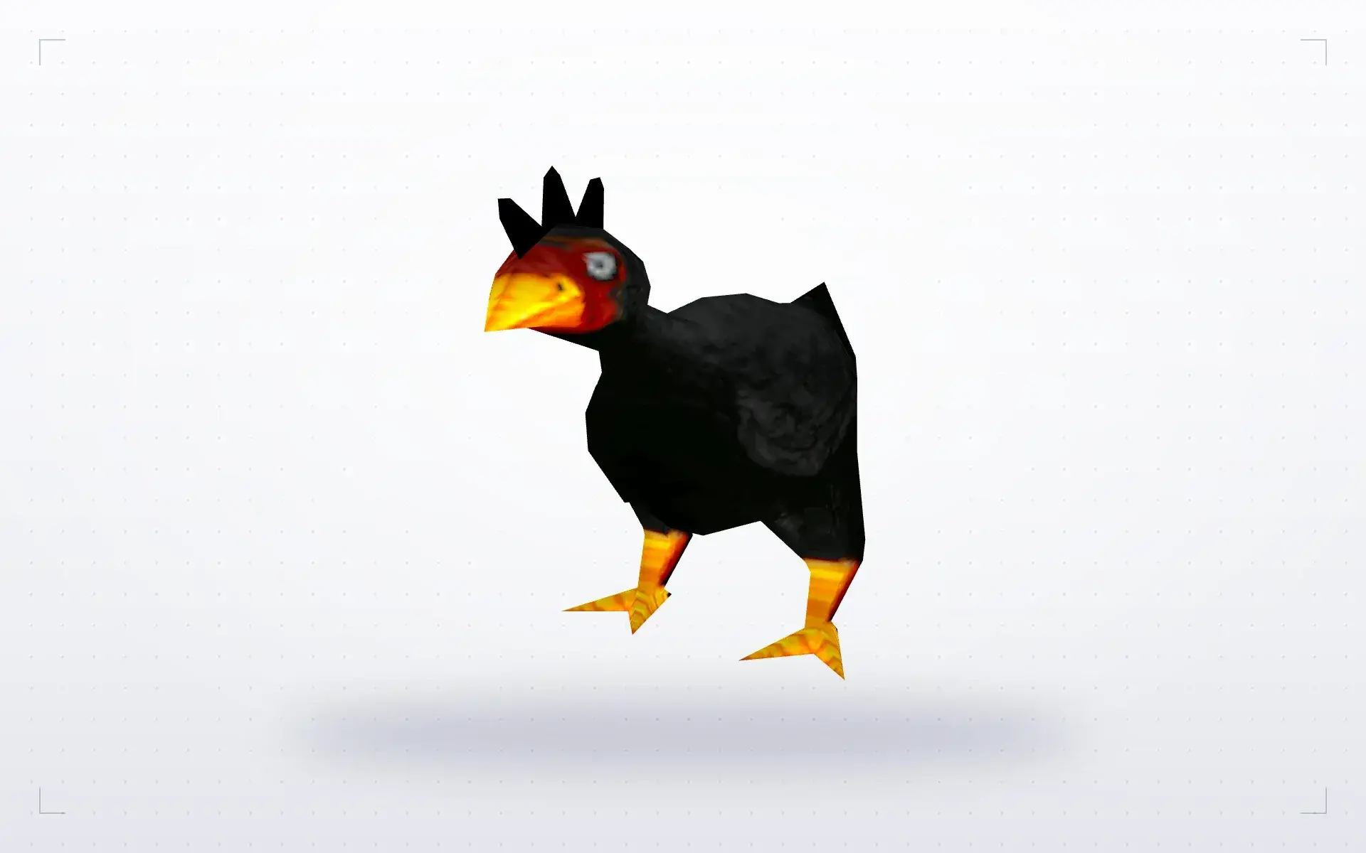 Brown and Black Hens — black_chick