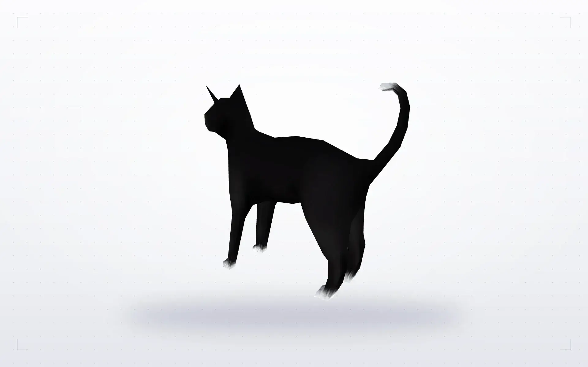 Cat — preview 1