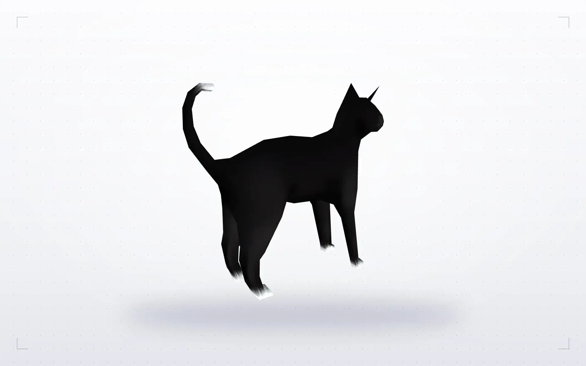 Cat — preview 2