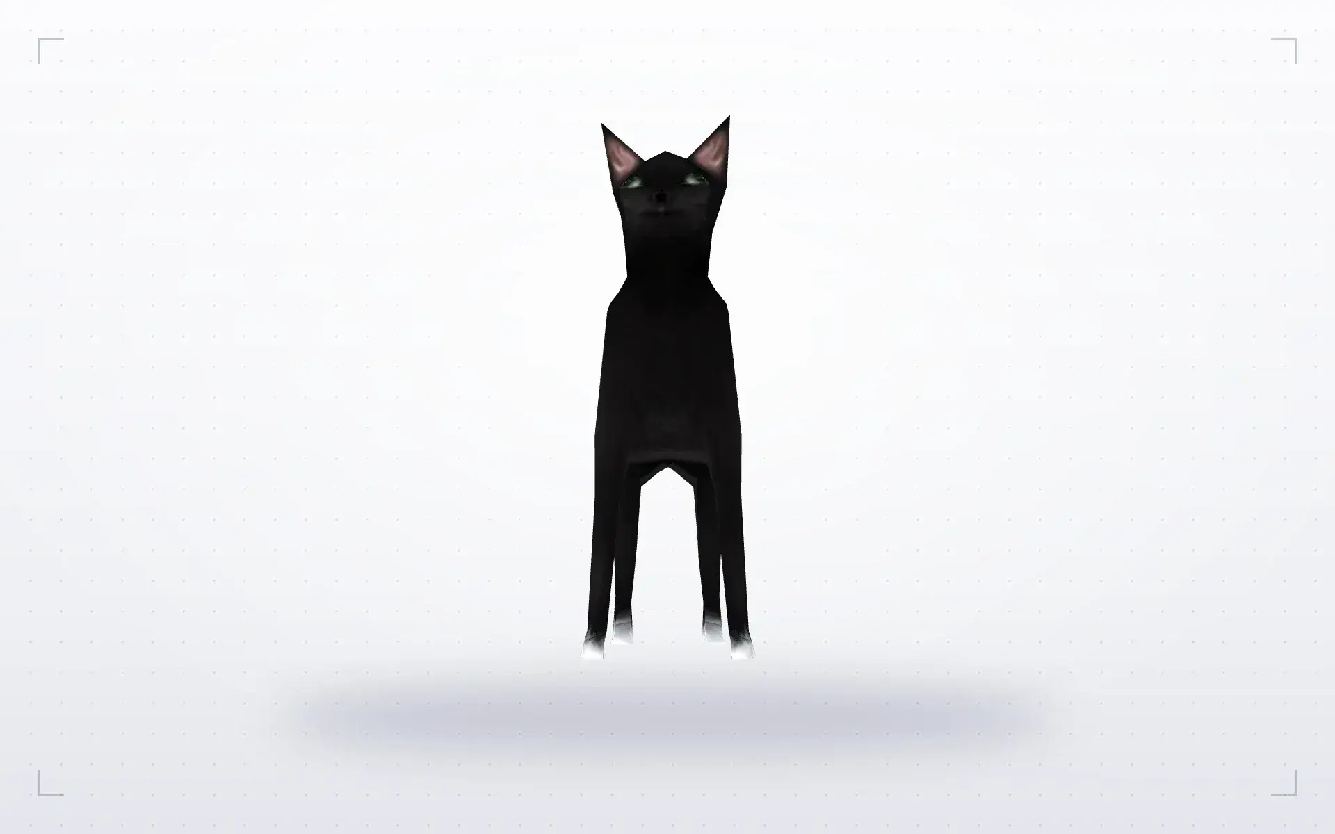 Cat — preview 3