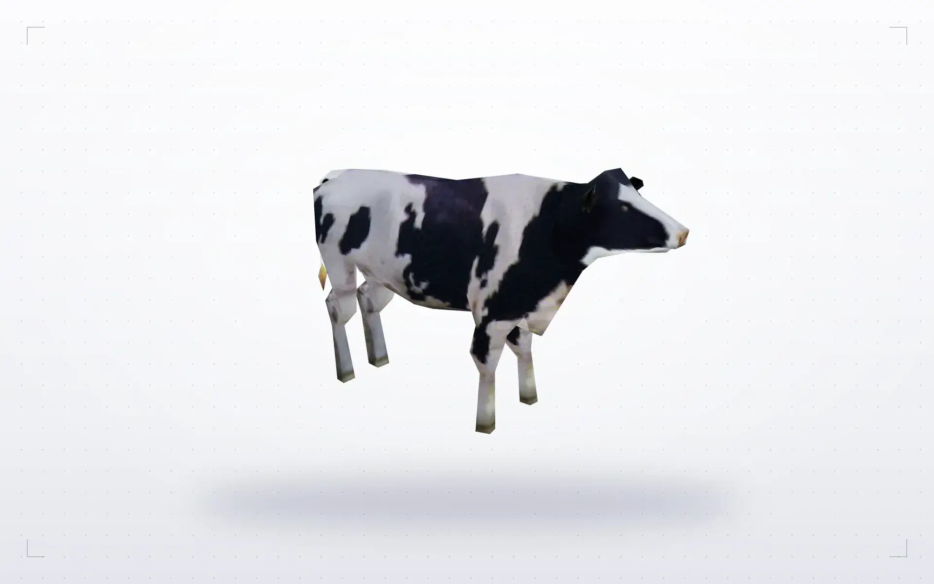 Cow — preview 1