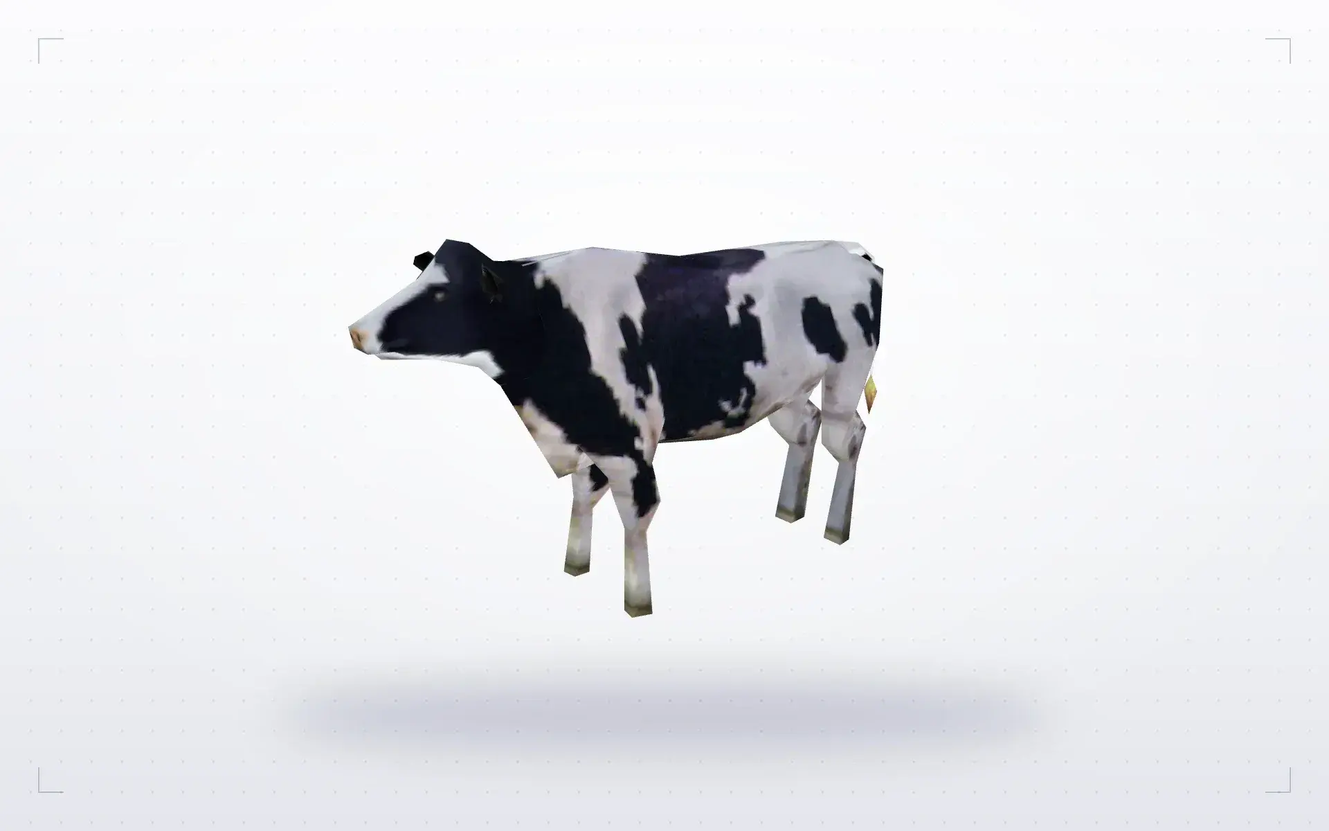 Cow — preview 2
