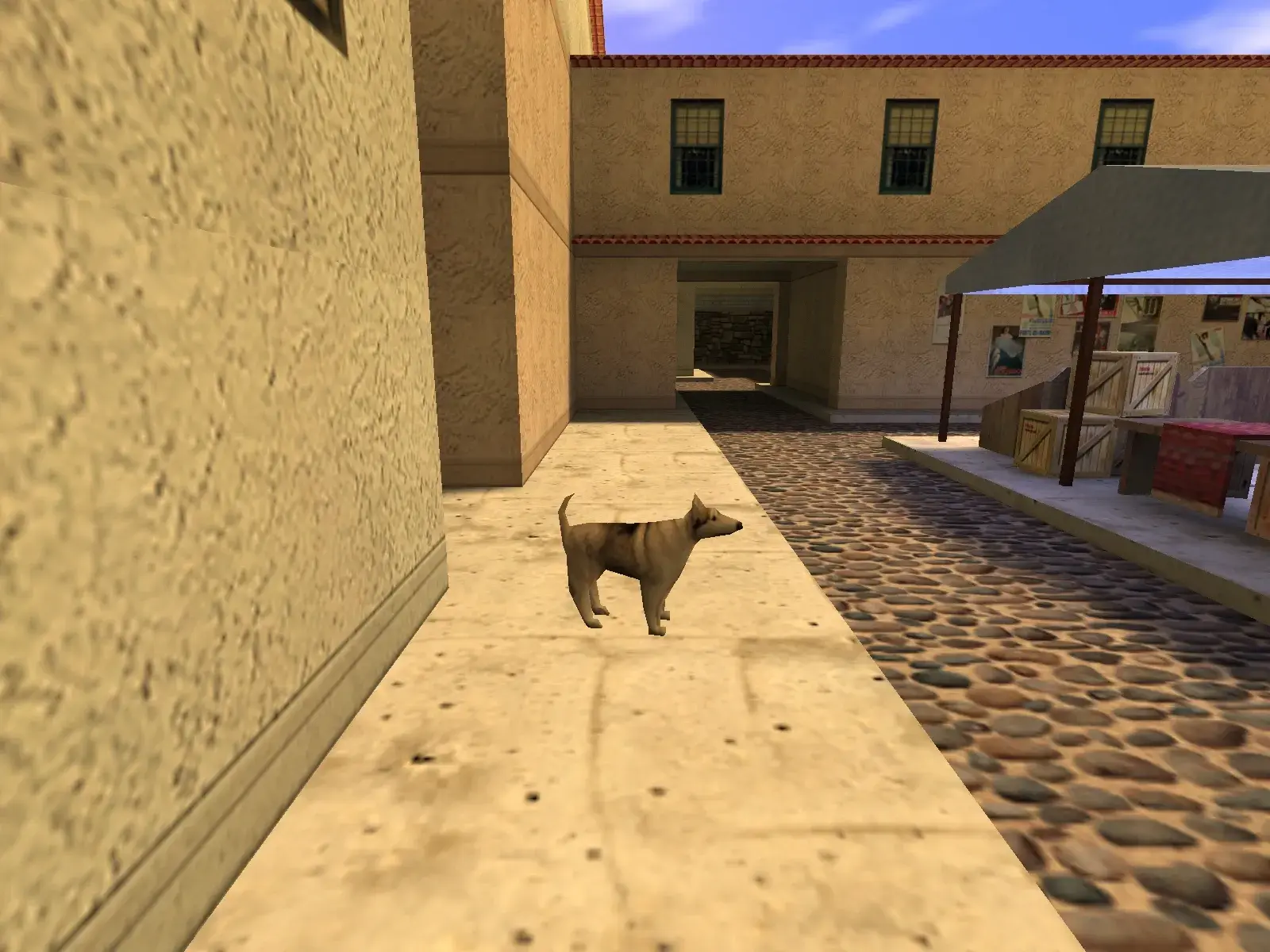 Dog — cs_italy, the market street