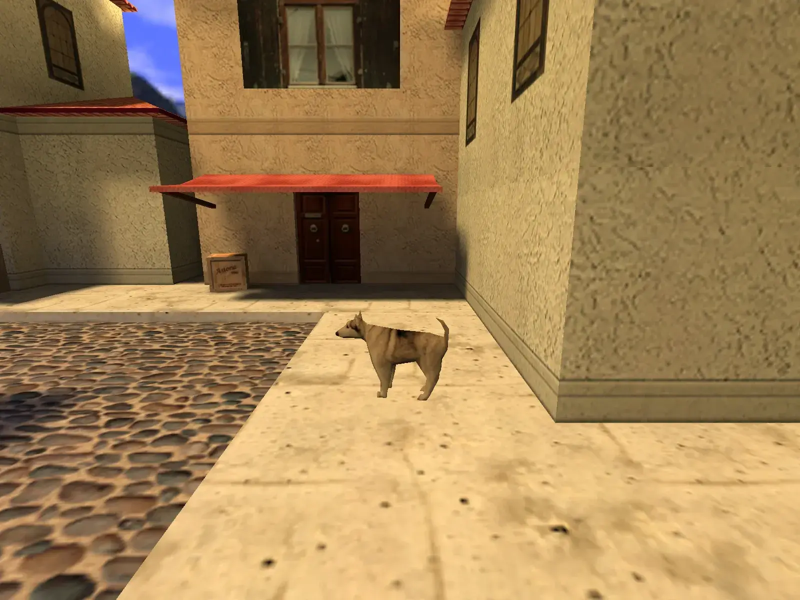 Dog — cs_italy, the market street from the other side