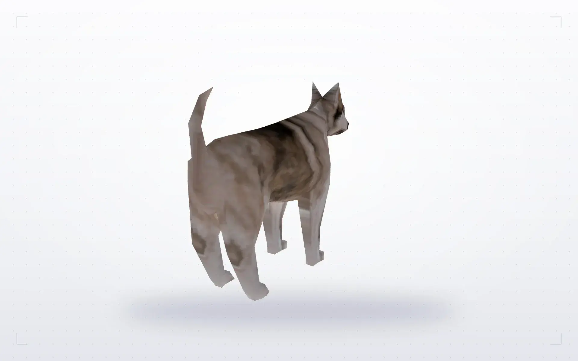 Dog — preview 1