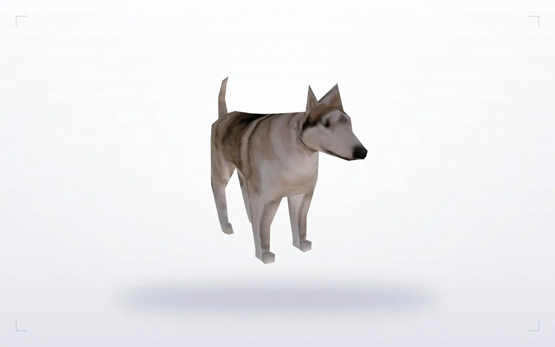 Dog — preview 2