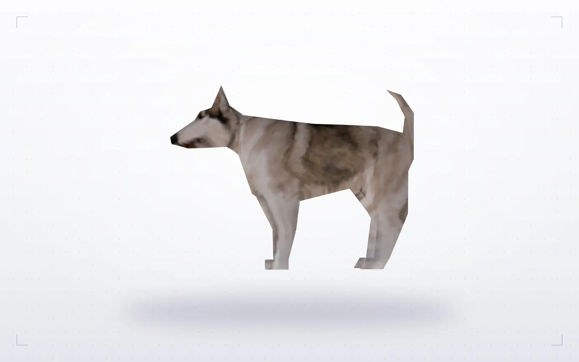 Dog — preview 3