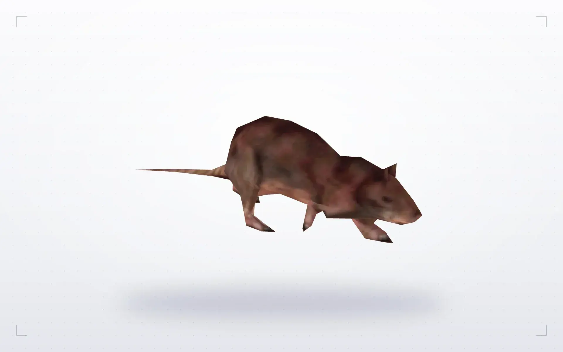 Half-Life Rat — preview 1