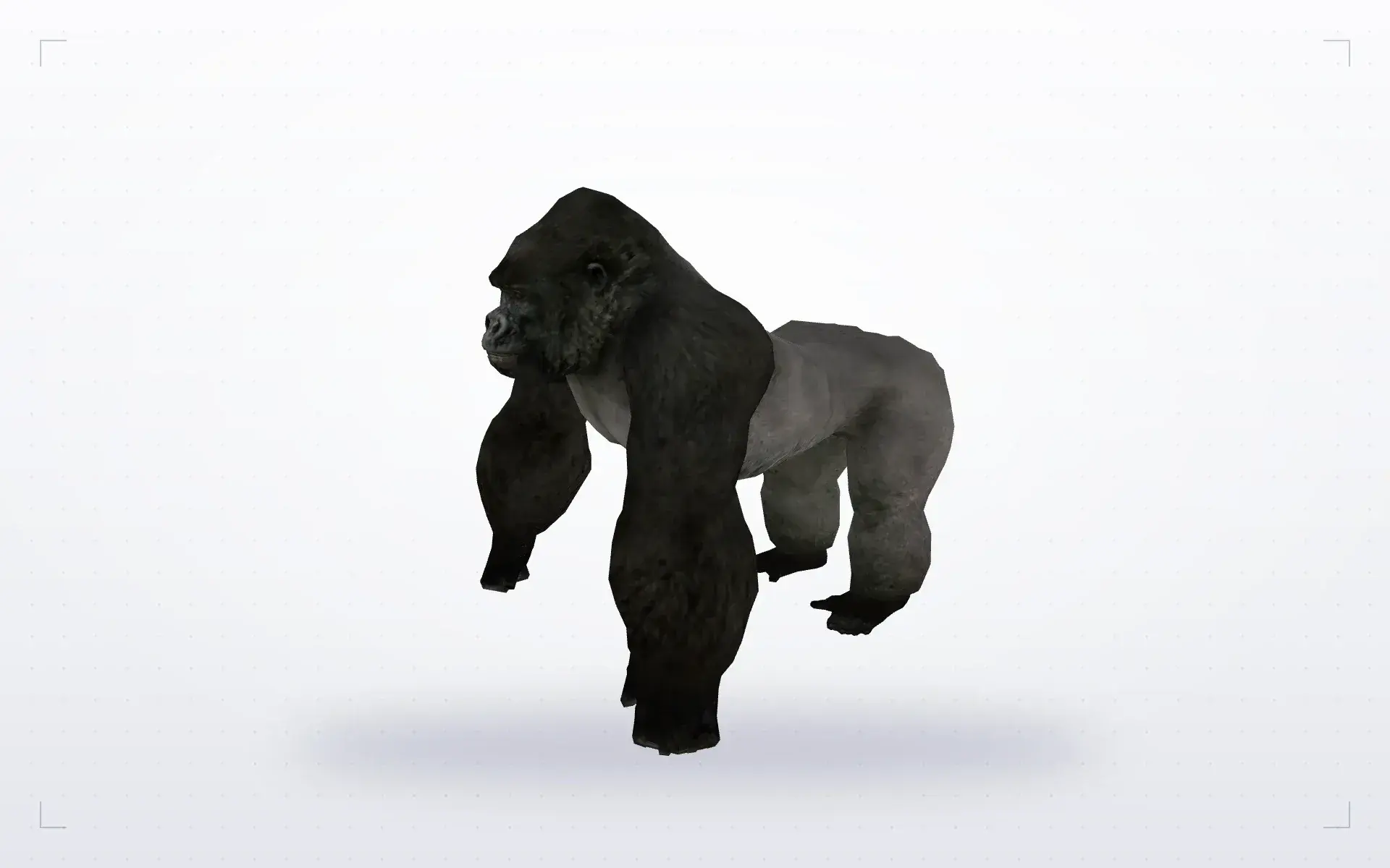 Little Gorilla — preview 2
