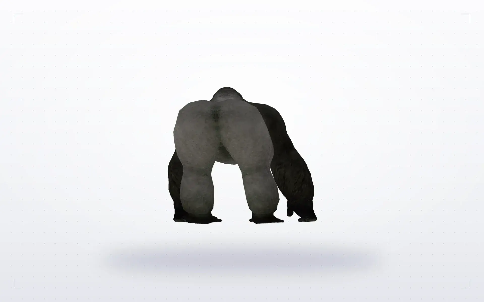 Little Gorilla — preview 3