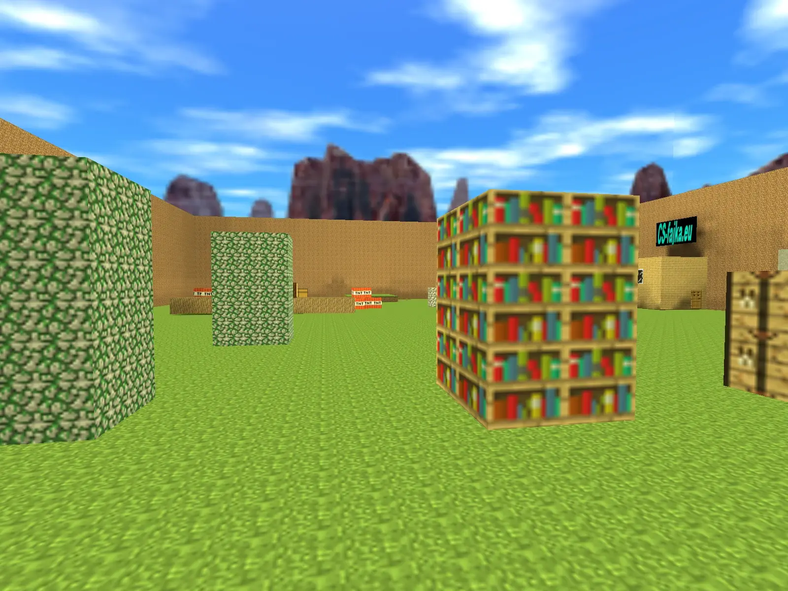 aim_minecraft2 — view