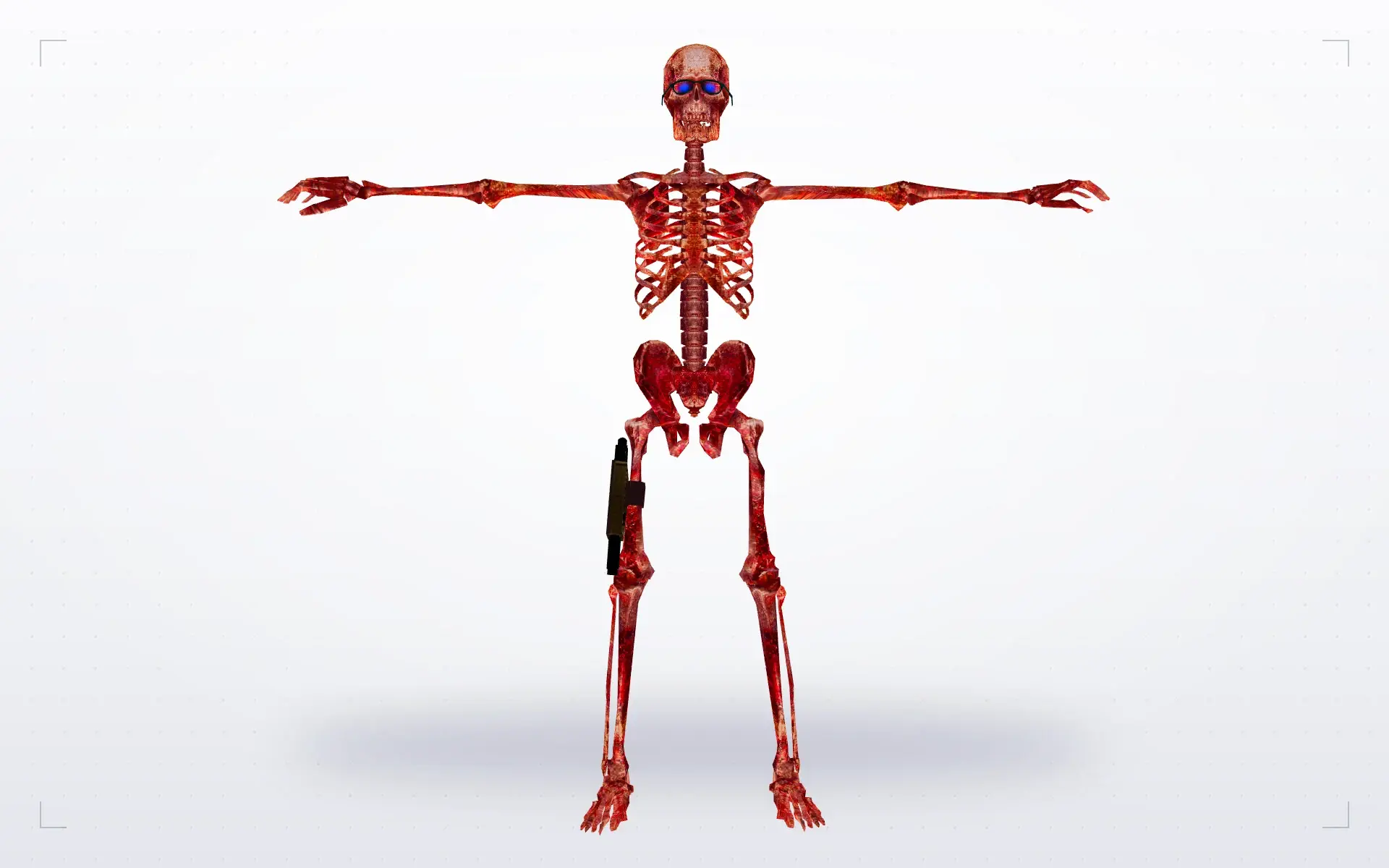 Skeletons — front