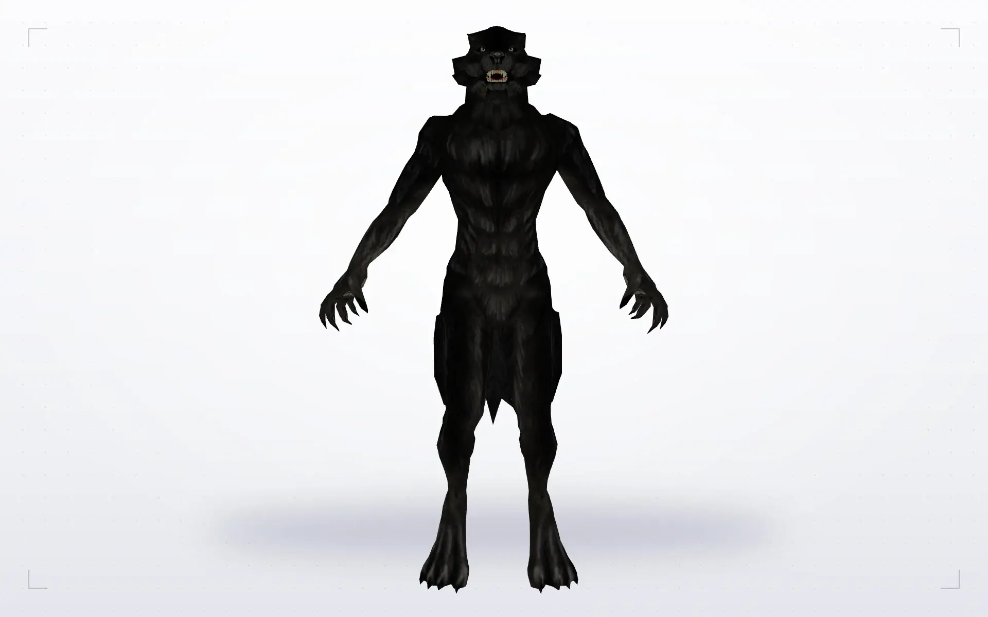 Werewolf — front