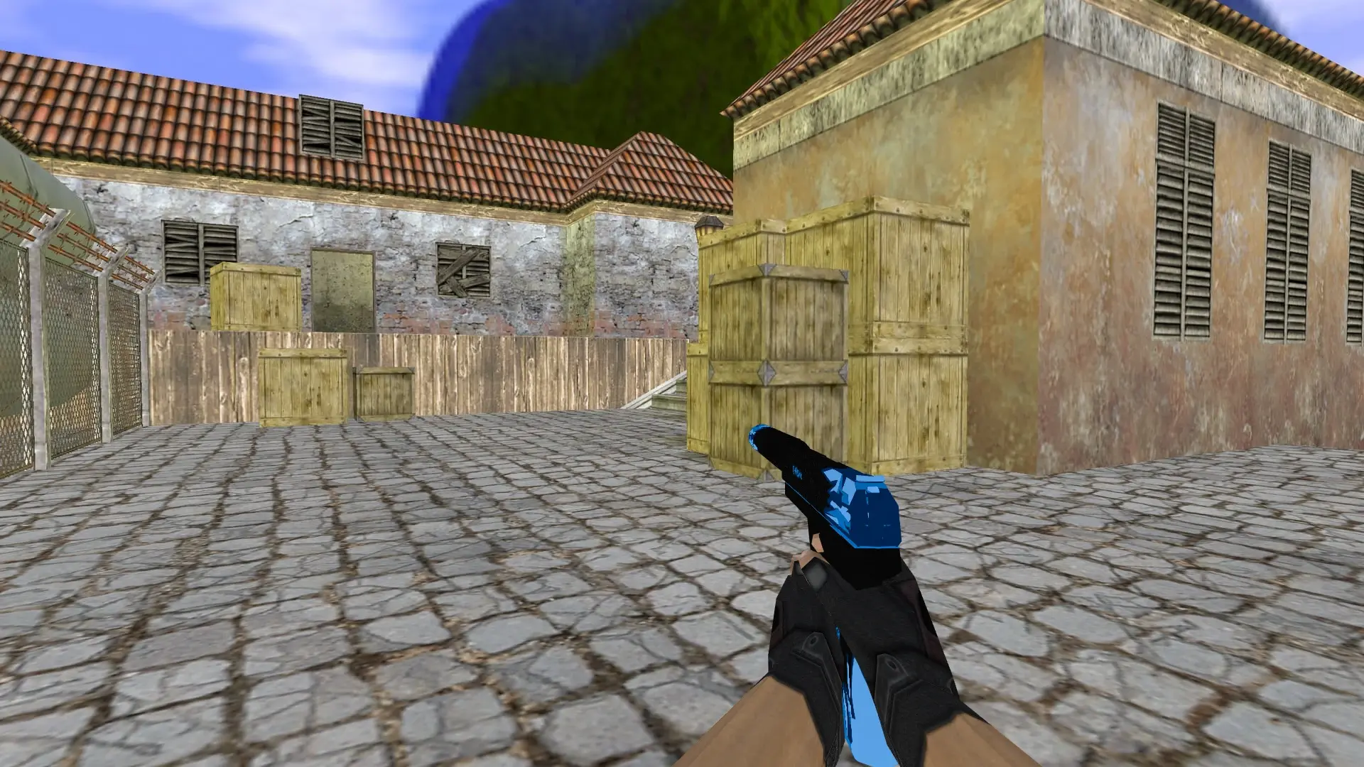 USP Carbonic — de_inferno (first person)
