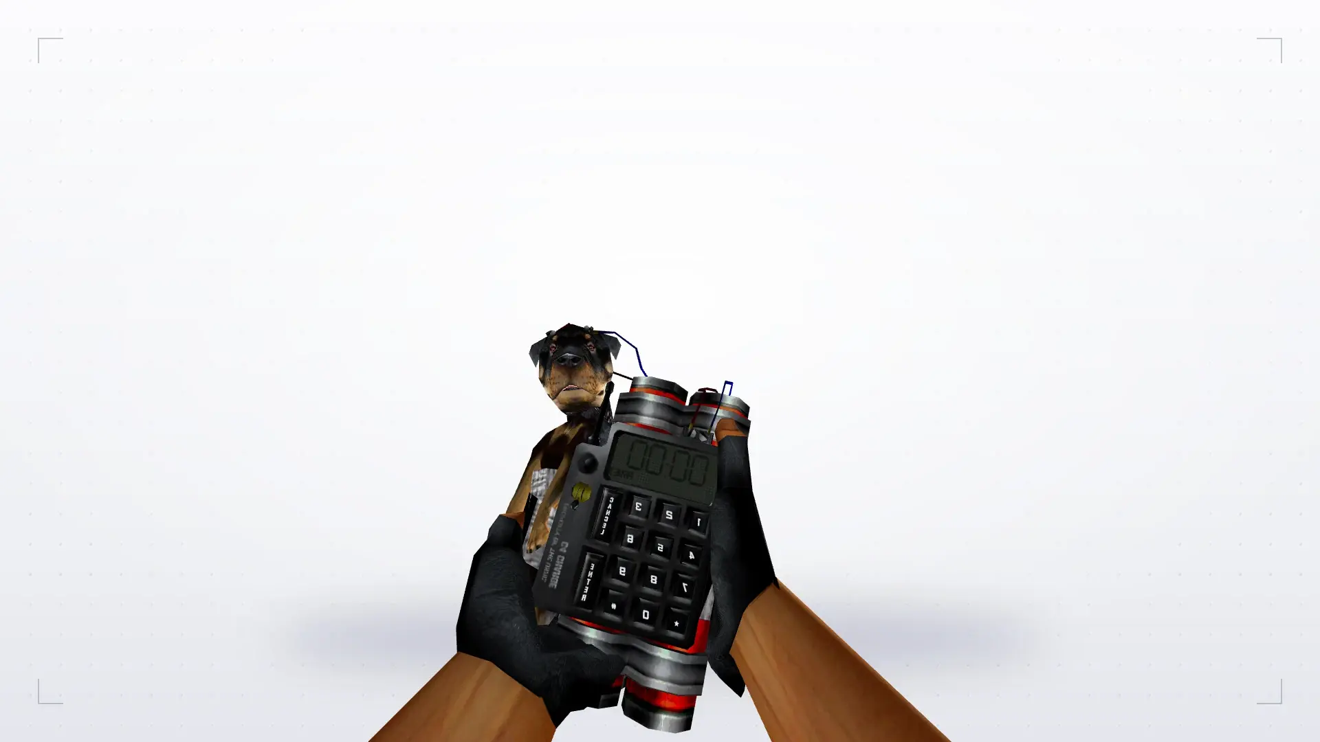 Puppy C4 — first person
