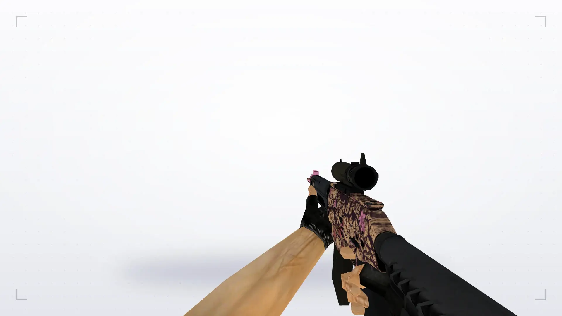 SG 553 | Desert Blossom — first person