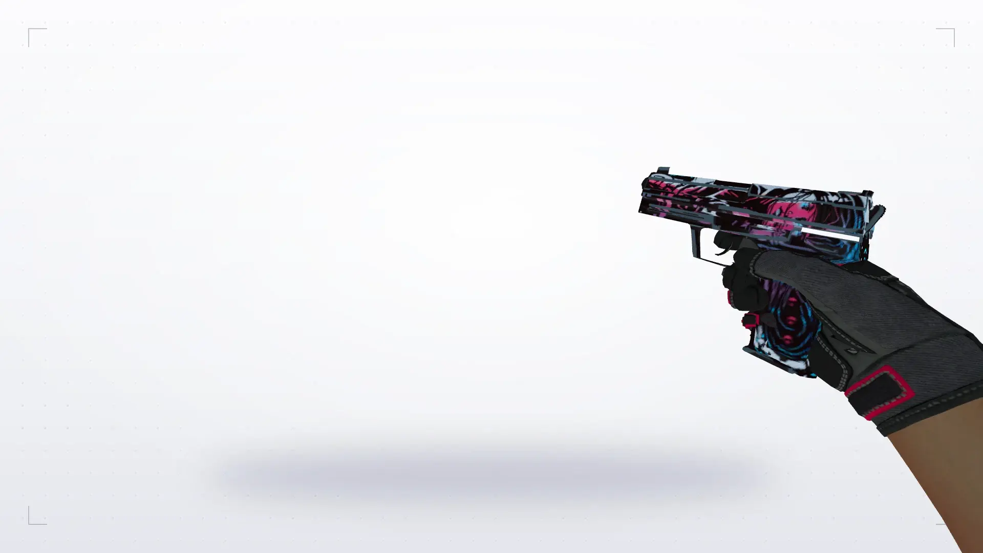 USP — Na'Vi electronic Inventory — first person