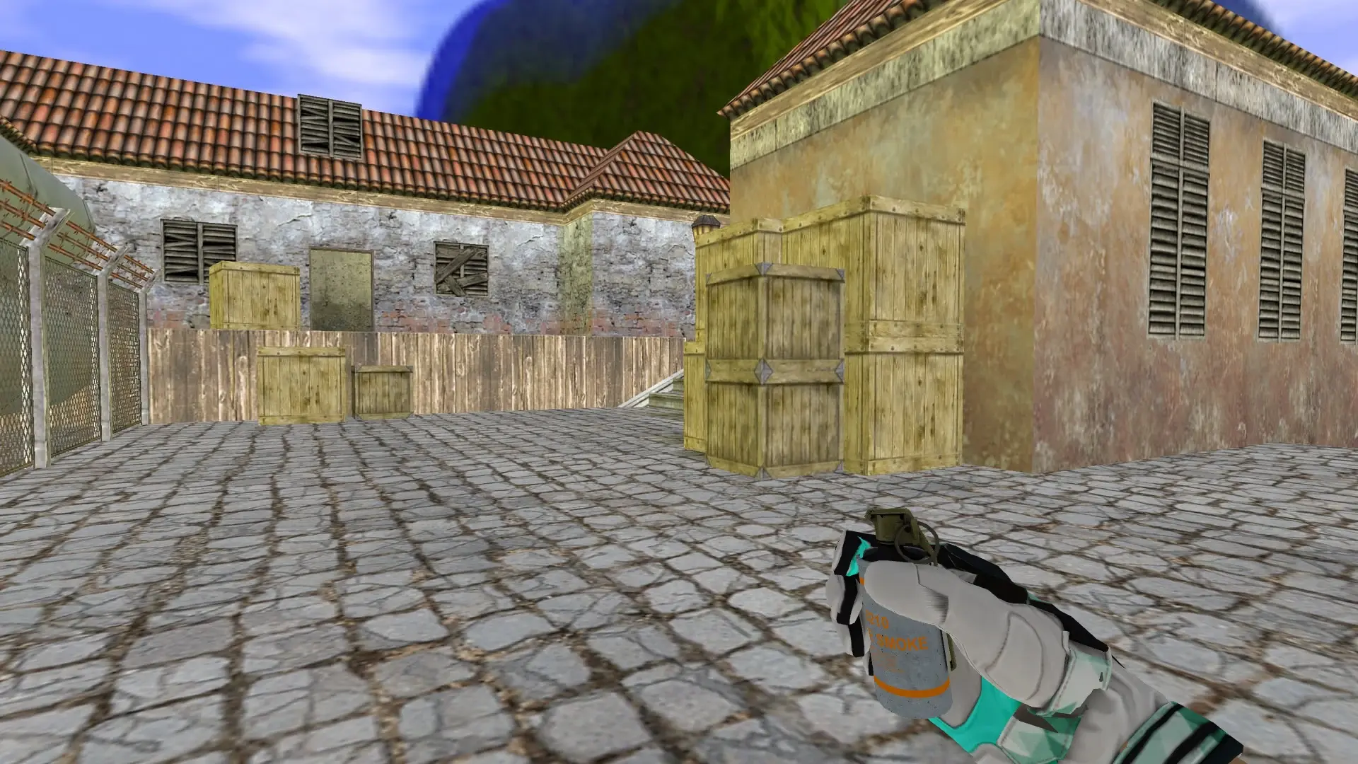 Smoke Grenade — bl1nd Inventory — de_inferno (first person)