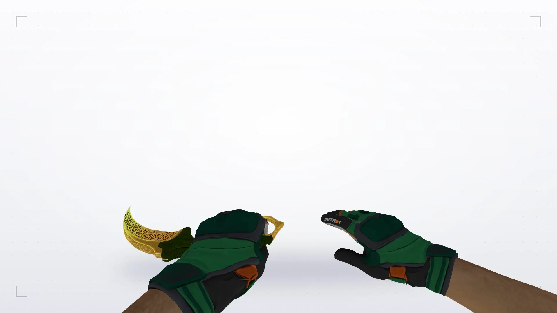 Karambit Lore — Moto Gloves Turtle Pack — first person