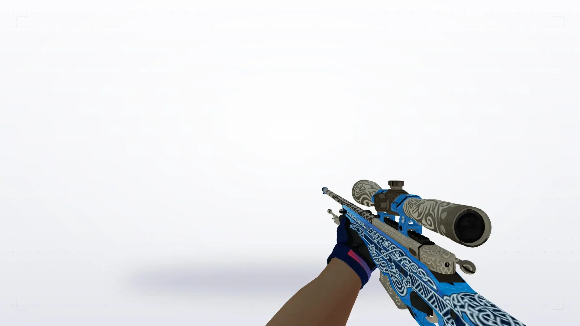 AWP — Na'Vi flamie Inventory — first person