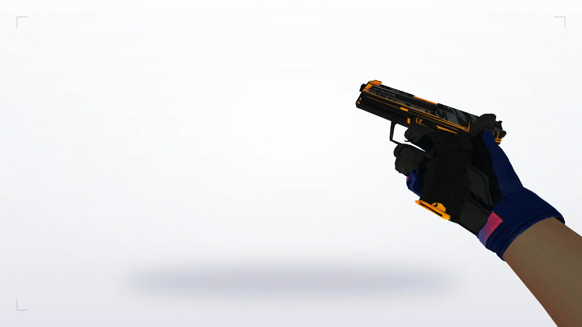 USP — Na'Vi flamie Inventory — first person