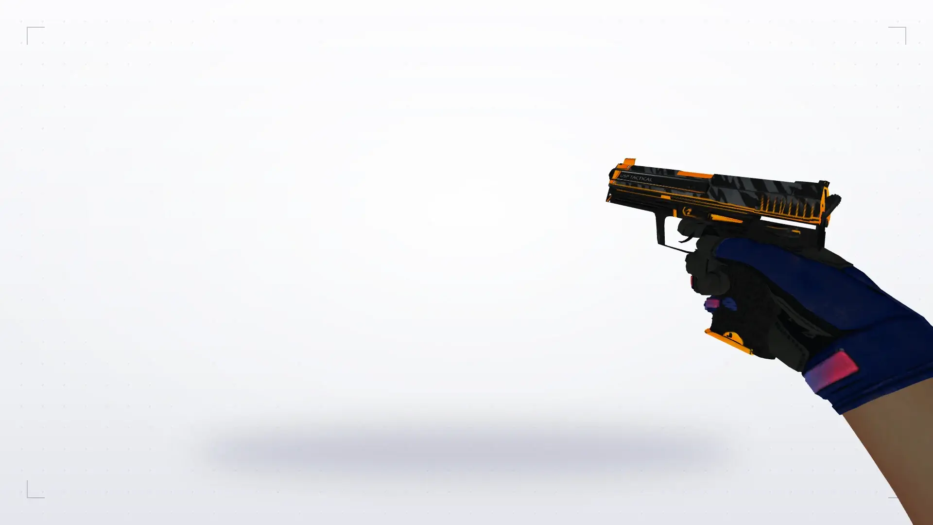 USP — Na'Vi flamie Inventory — first person