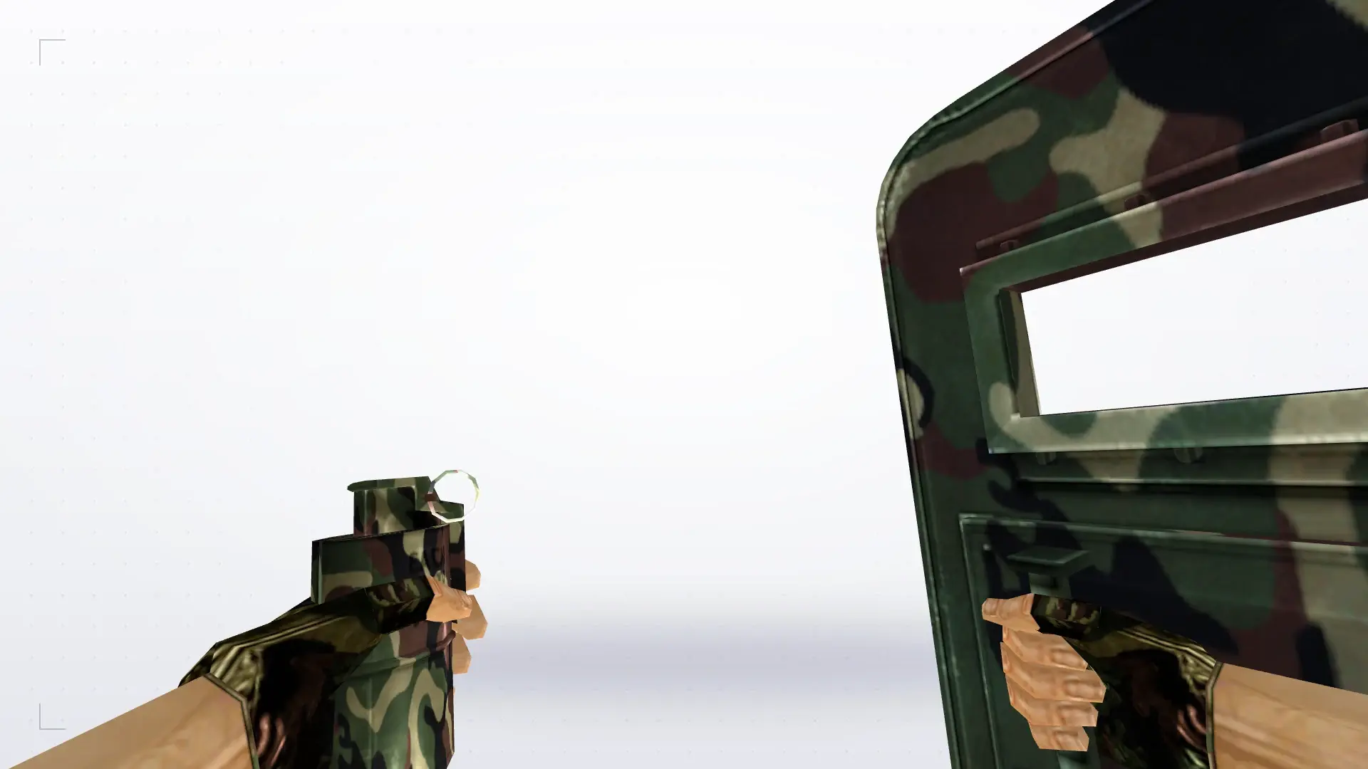 SHIELD_FLASHBANG: Camo Weapon Pack — first person