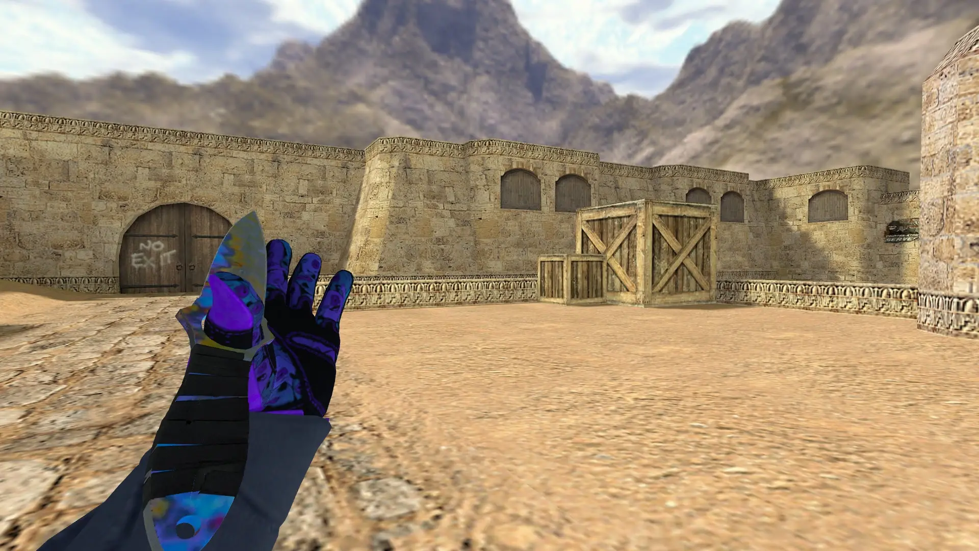 Skeleton Knife Case Hardened (403 Blue Gem): Pandora's Box Sport Gloves (CT) — de_dust2 (first person)