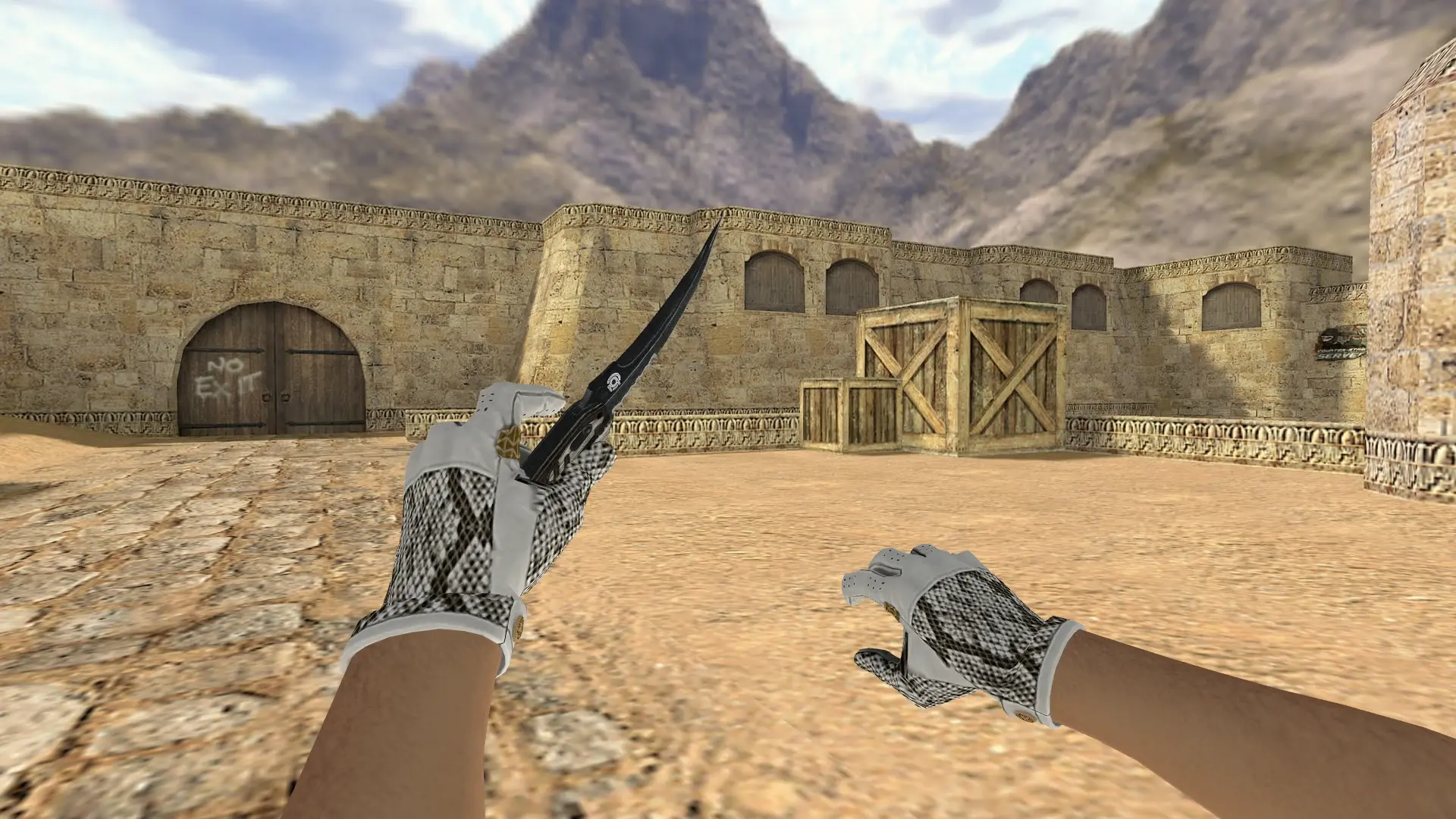 Knife: King Snake Driver Gloves — de_dust2 (first person)
