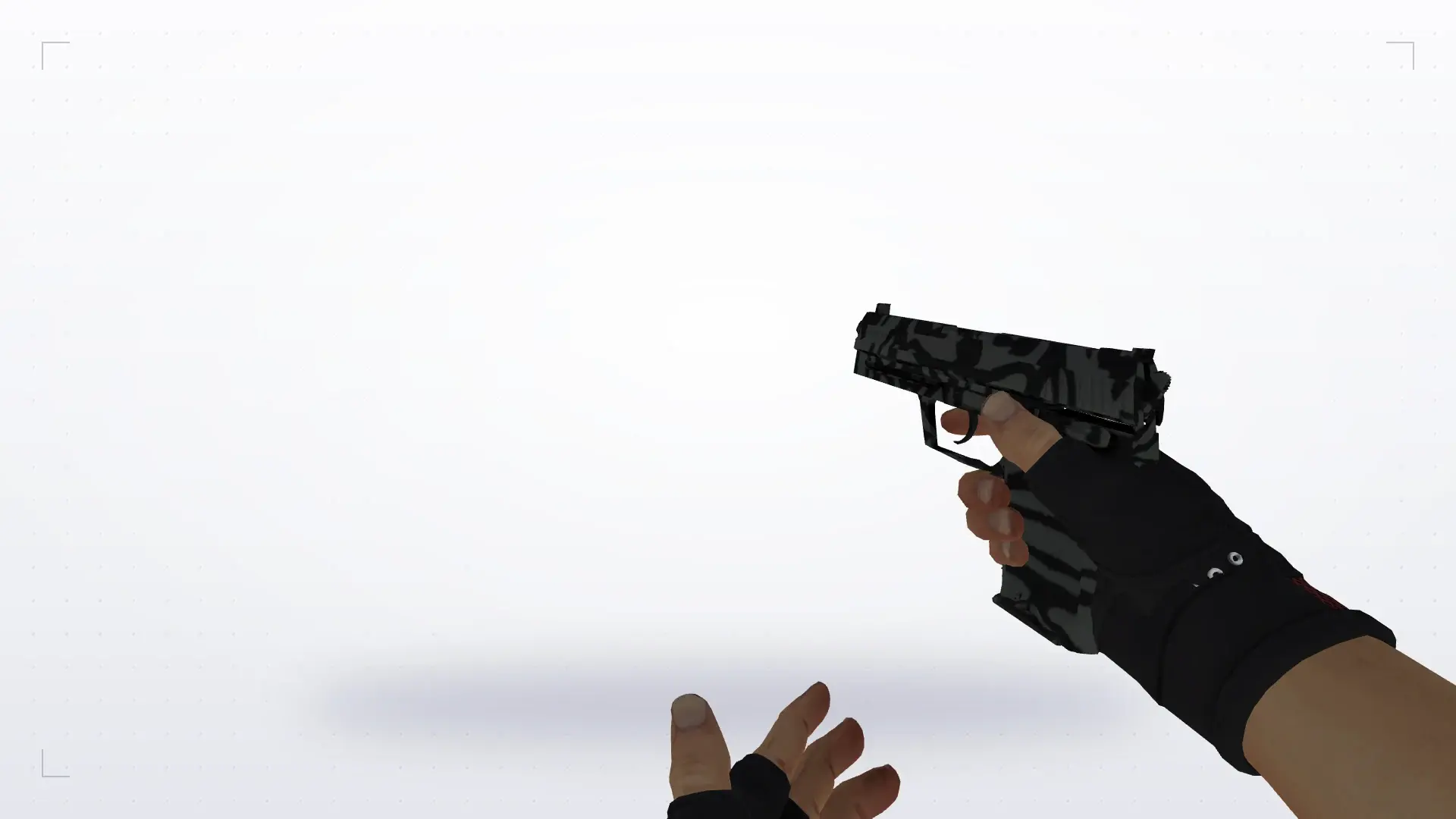 USP: B&W Inventory — first person