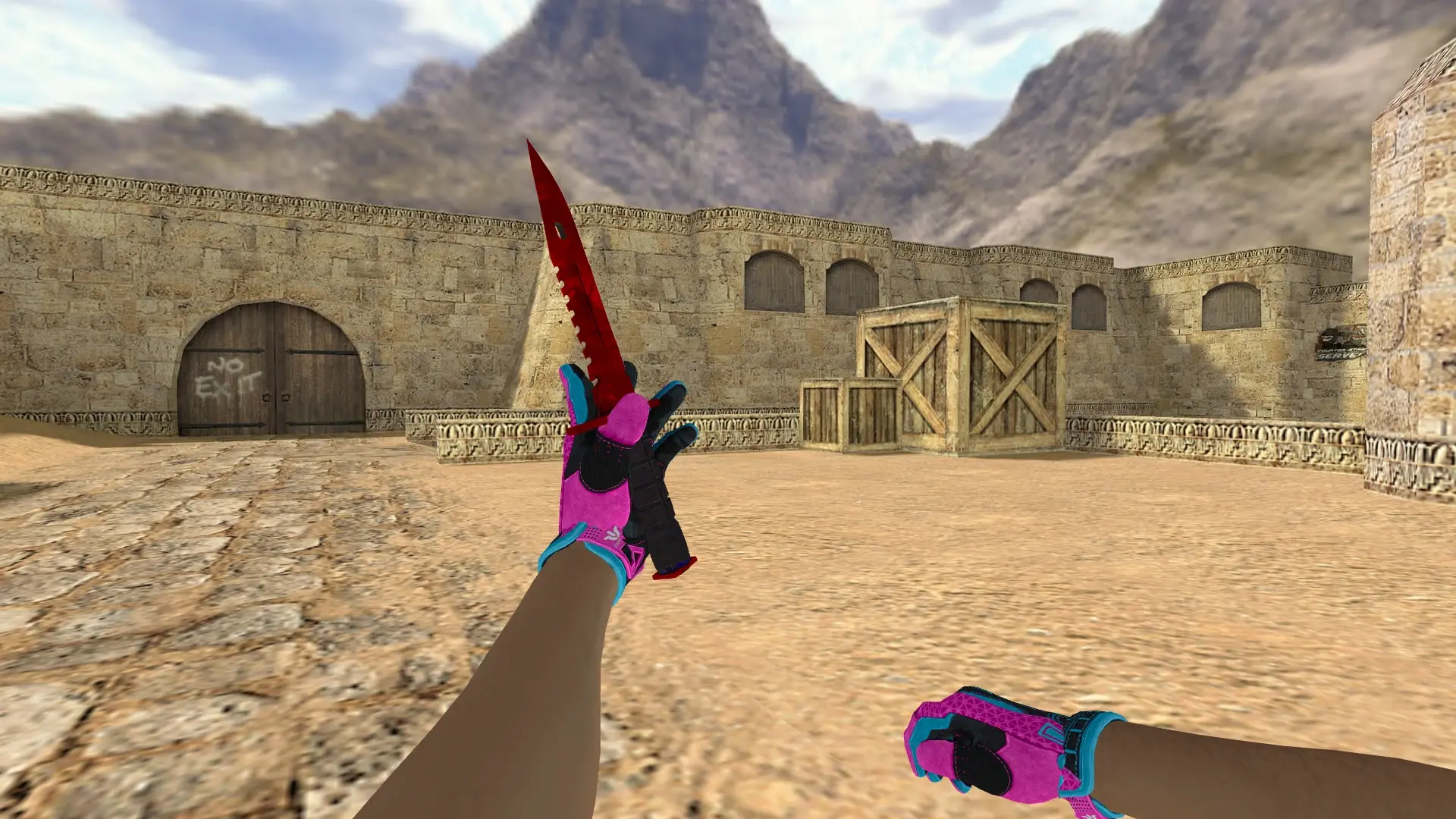 M9 Ruby — Sports Gloves Vice Pack — de_dust2 (first person)