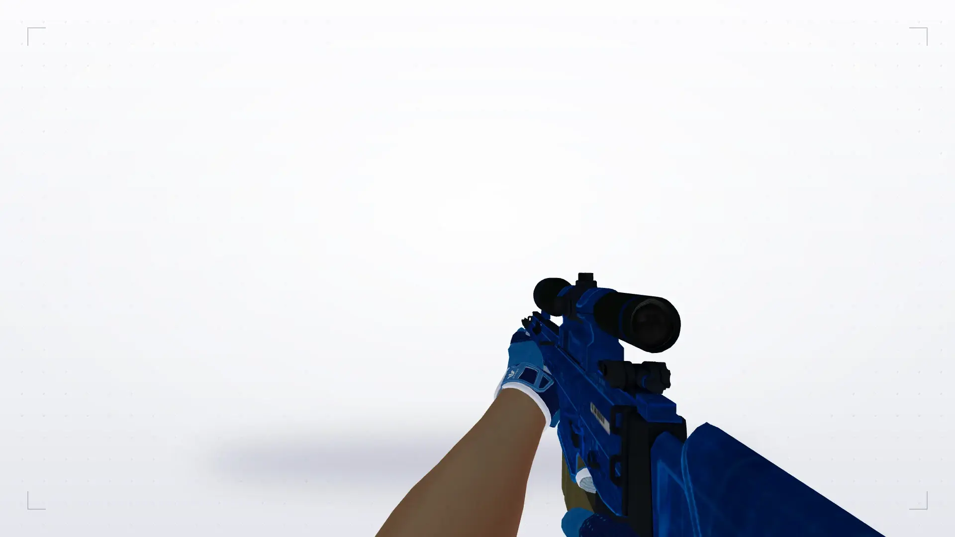 SG550 — Sport Amphibious Pack — first person