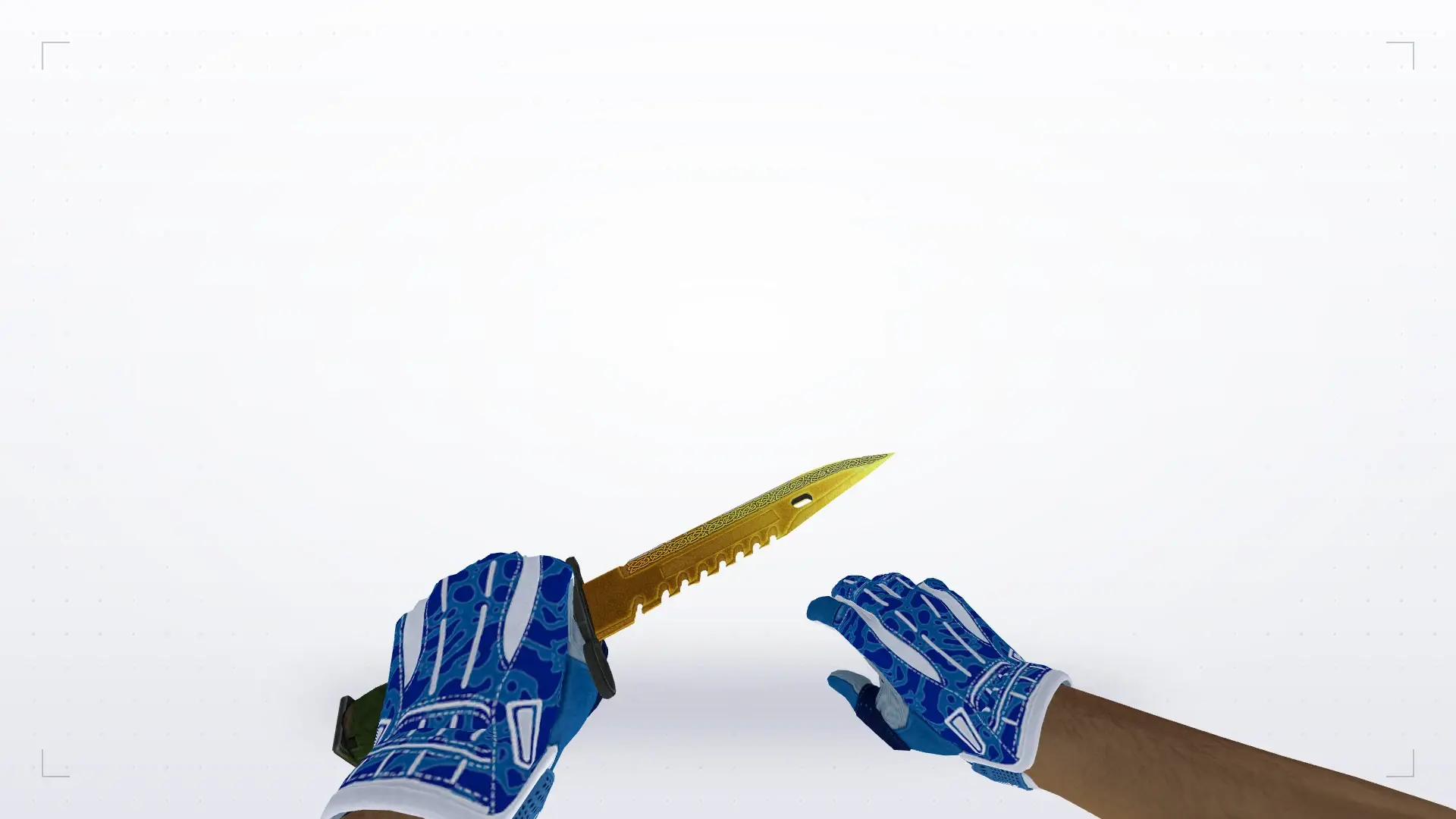 M9 Bayonet Lore — Sport Gloves Amphibious Pack — first person