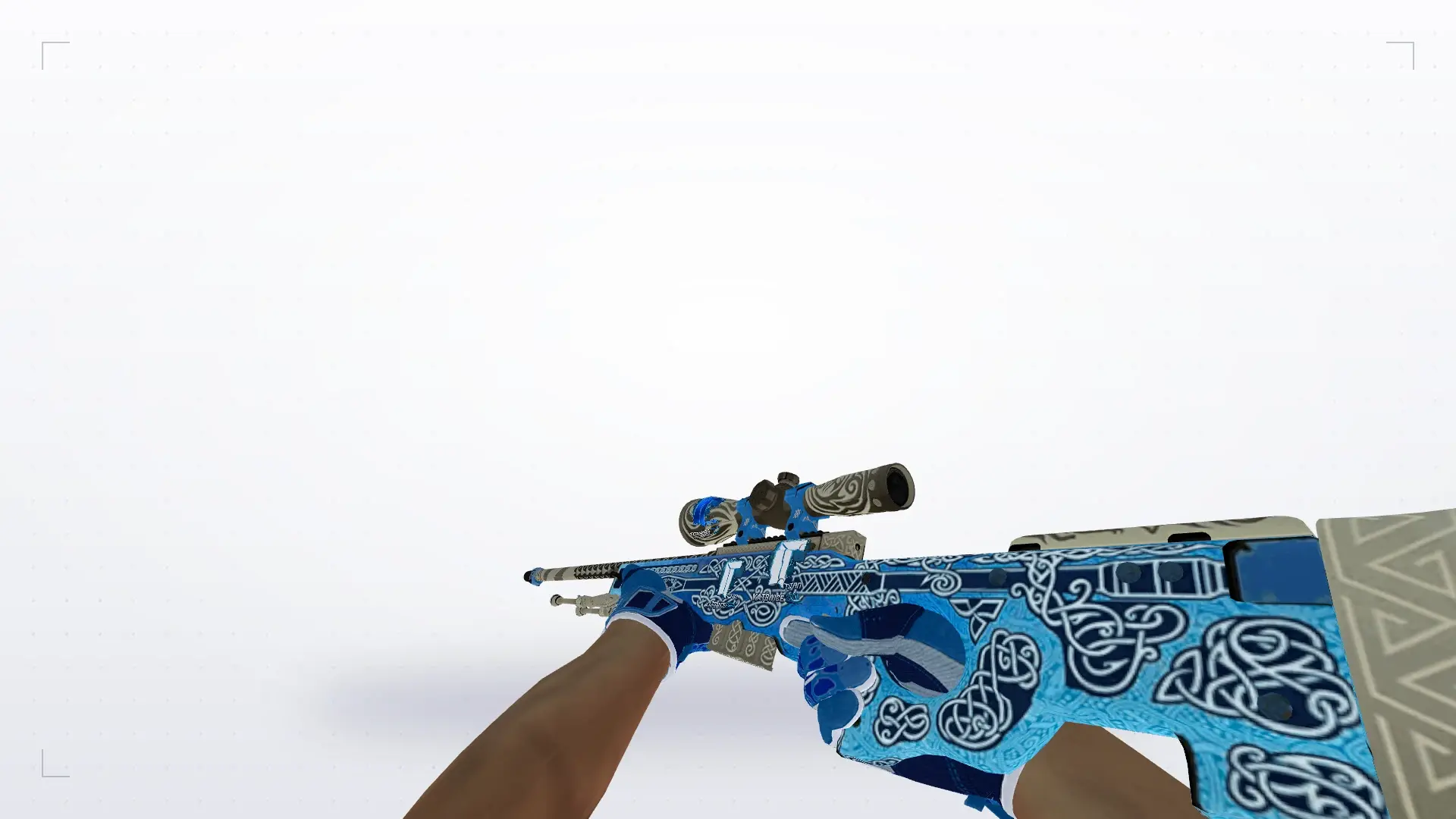 AWP — Sport Gloves Amphibious Pack — first person