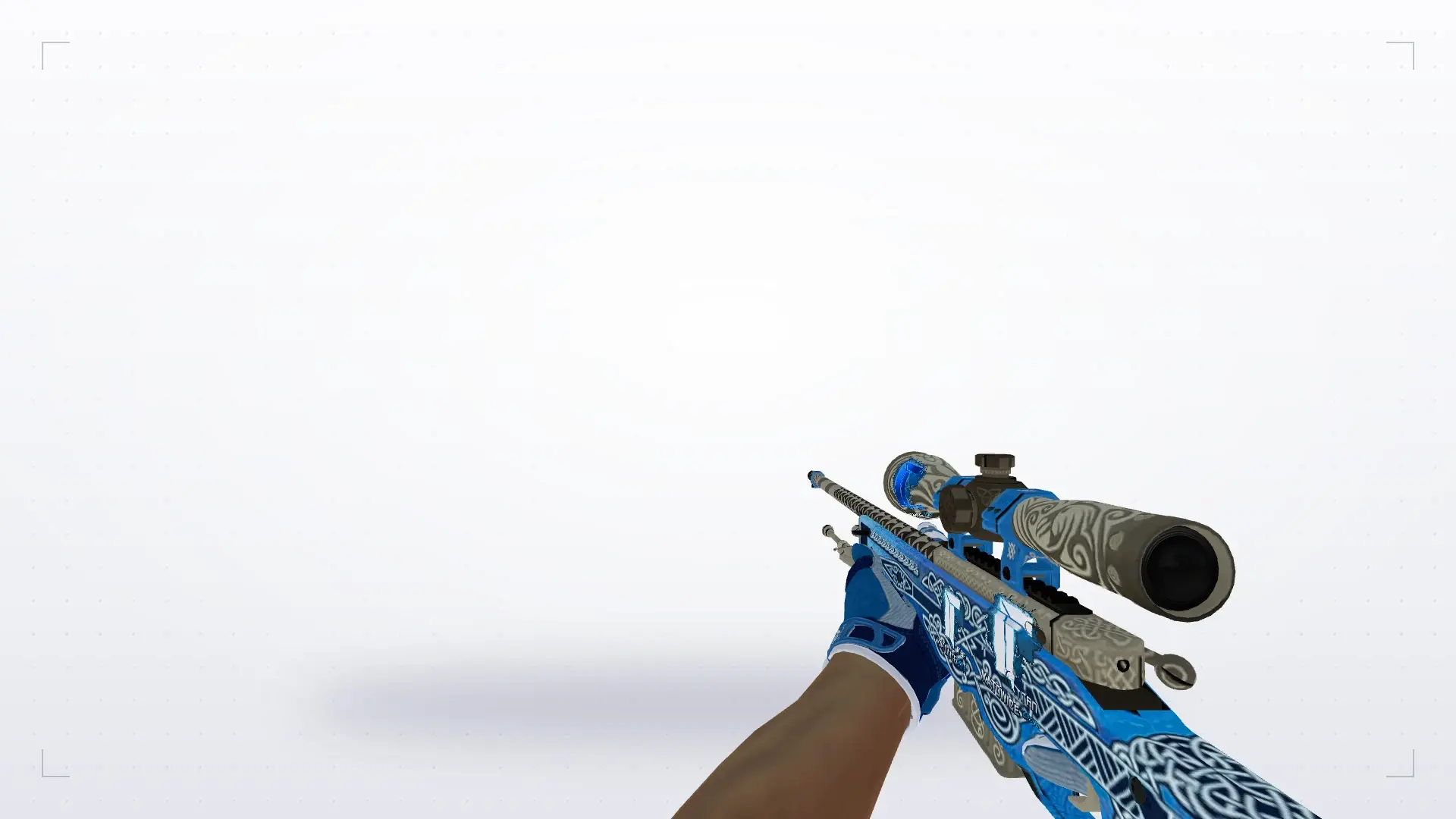 AWP — Sport Gloves Amphibious Pack — first person