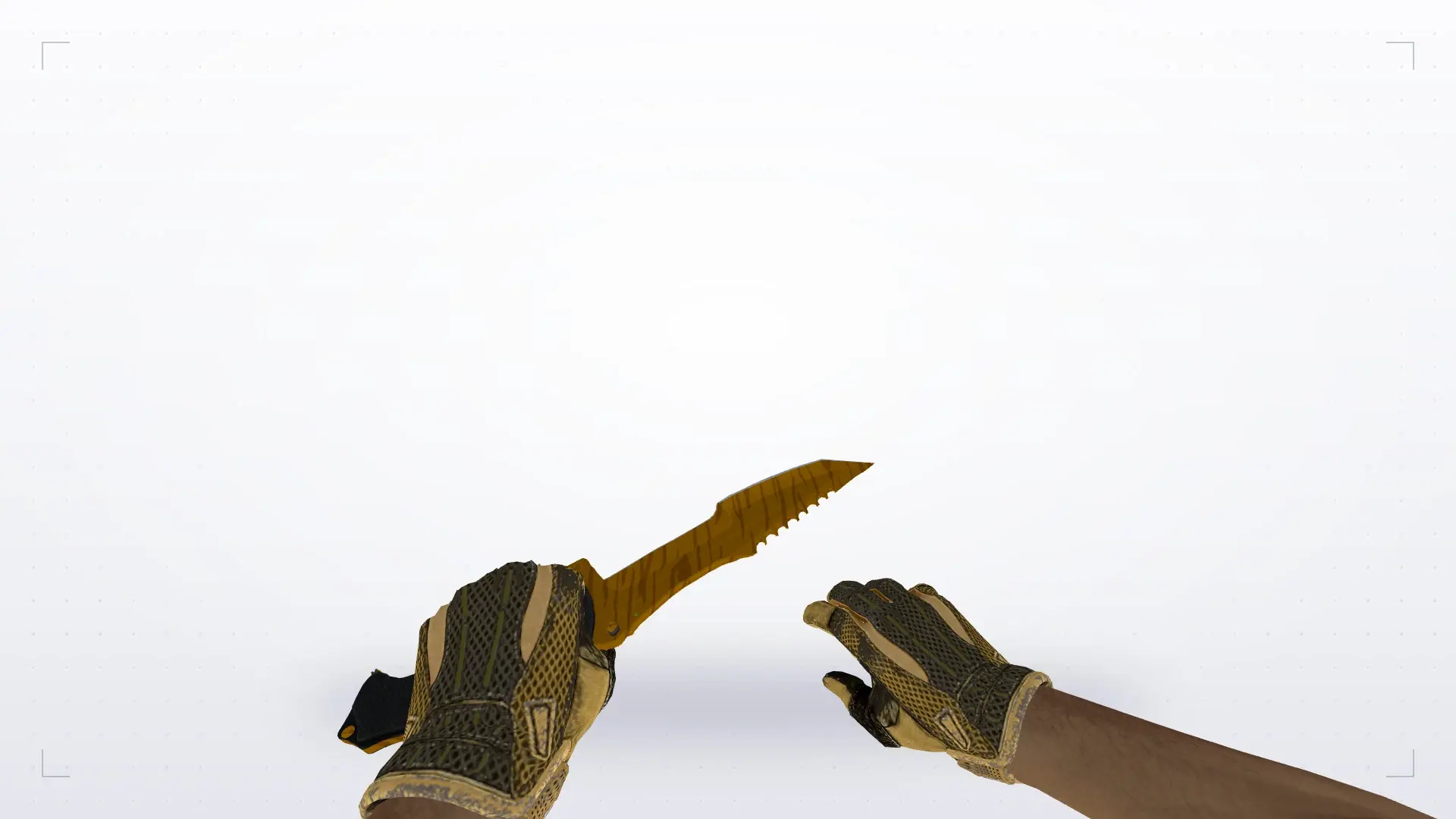 Huntsman Tiger Tooth — Sport Gloves Arid Pack — first person