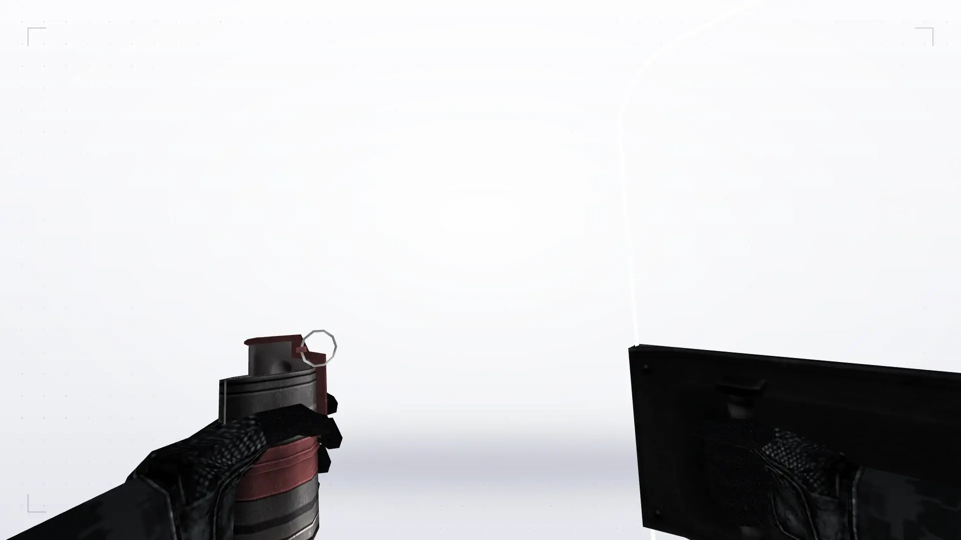 MW2 Style Shield — first person