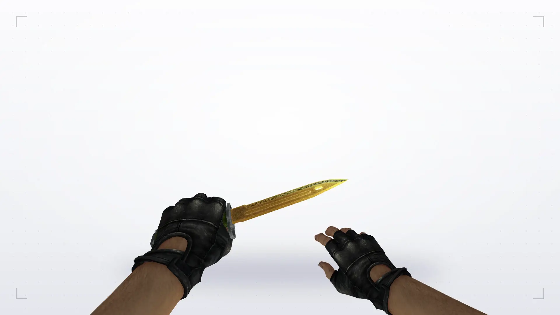 Bayonet | Lore — first person