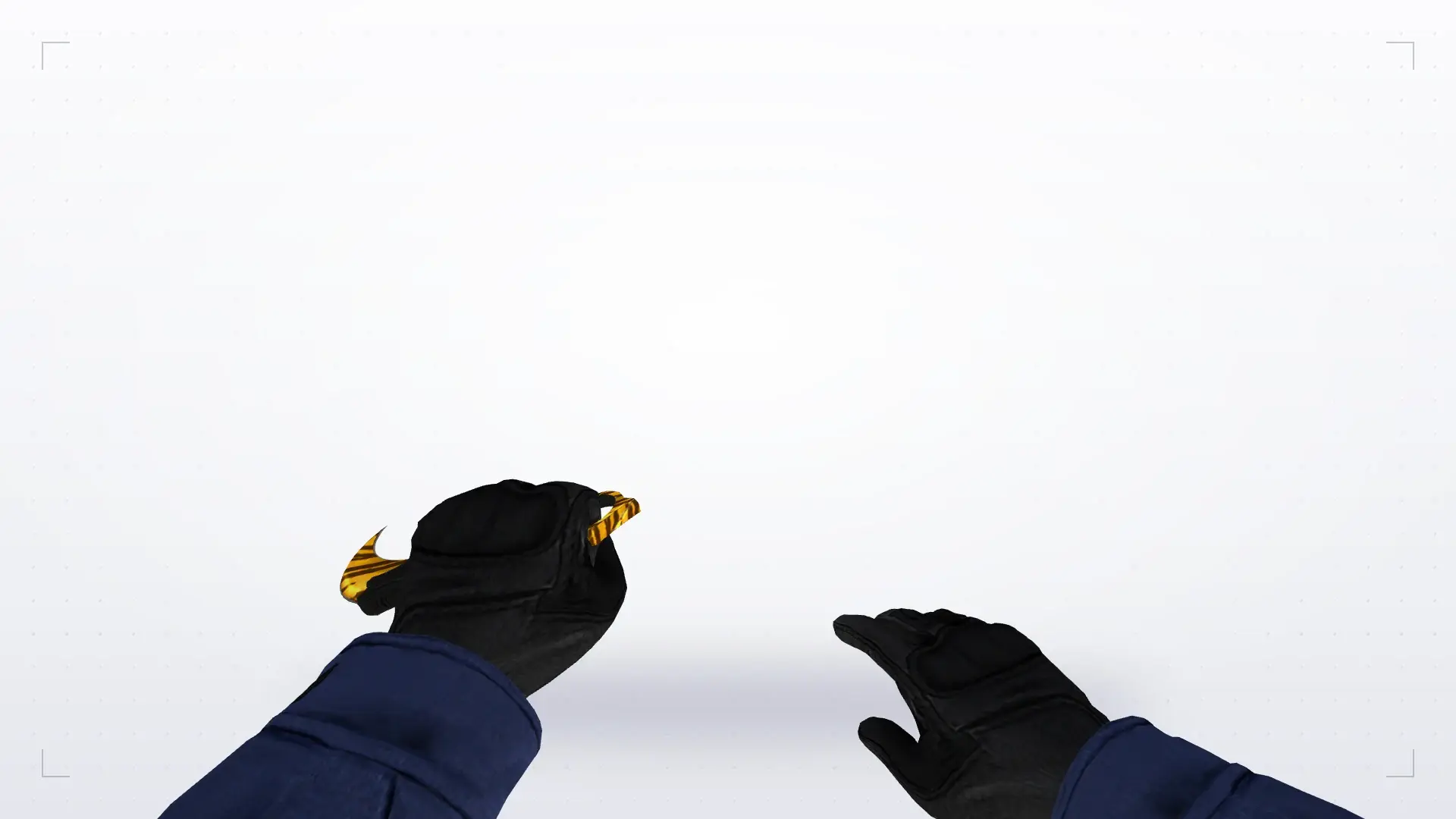 Karambit | Tiger Tooth — first person