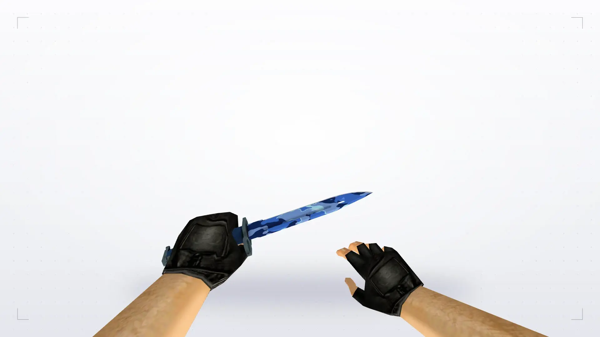 Bayonet | Bright Water — first person