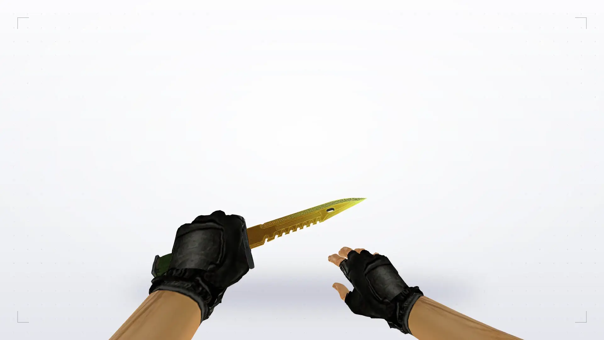 M9 Bayonet | Lore — first person