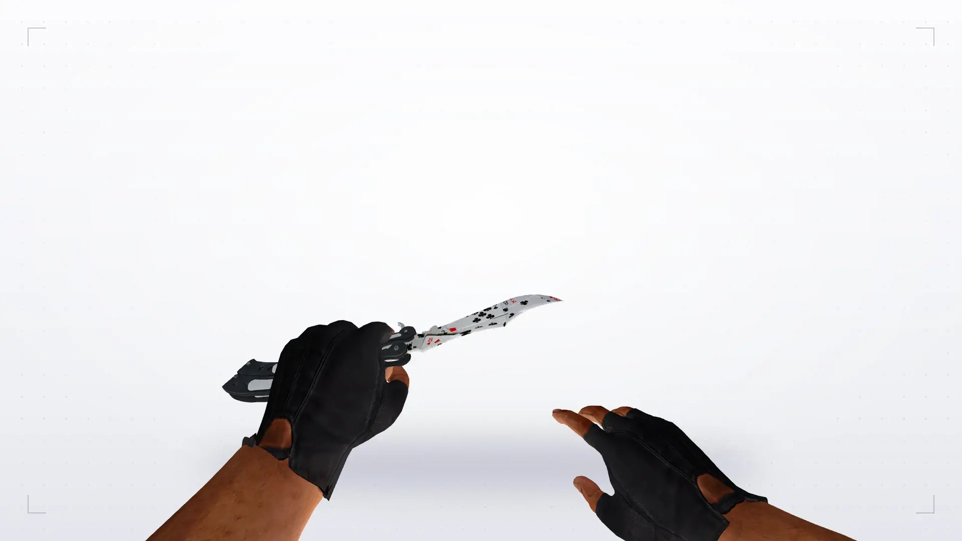 Butterfly Knife | Acer — first person
