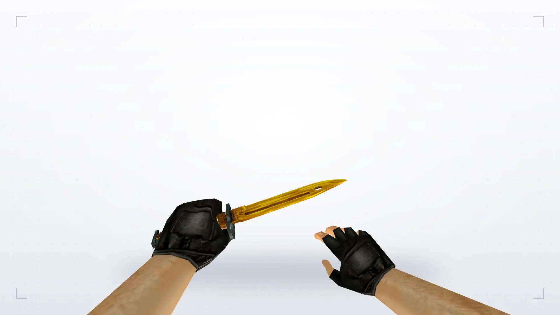 Bayonet | Fine Gold — first person