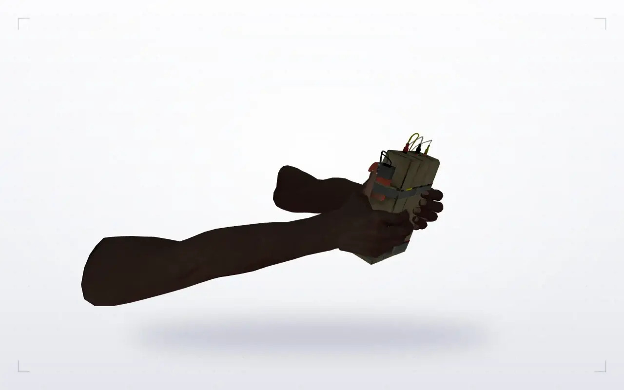 Pirate Hands Weapon Pack — C4 — Pirate Hands Weapon Pack