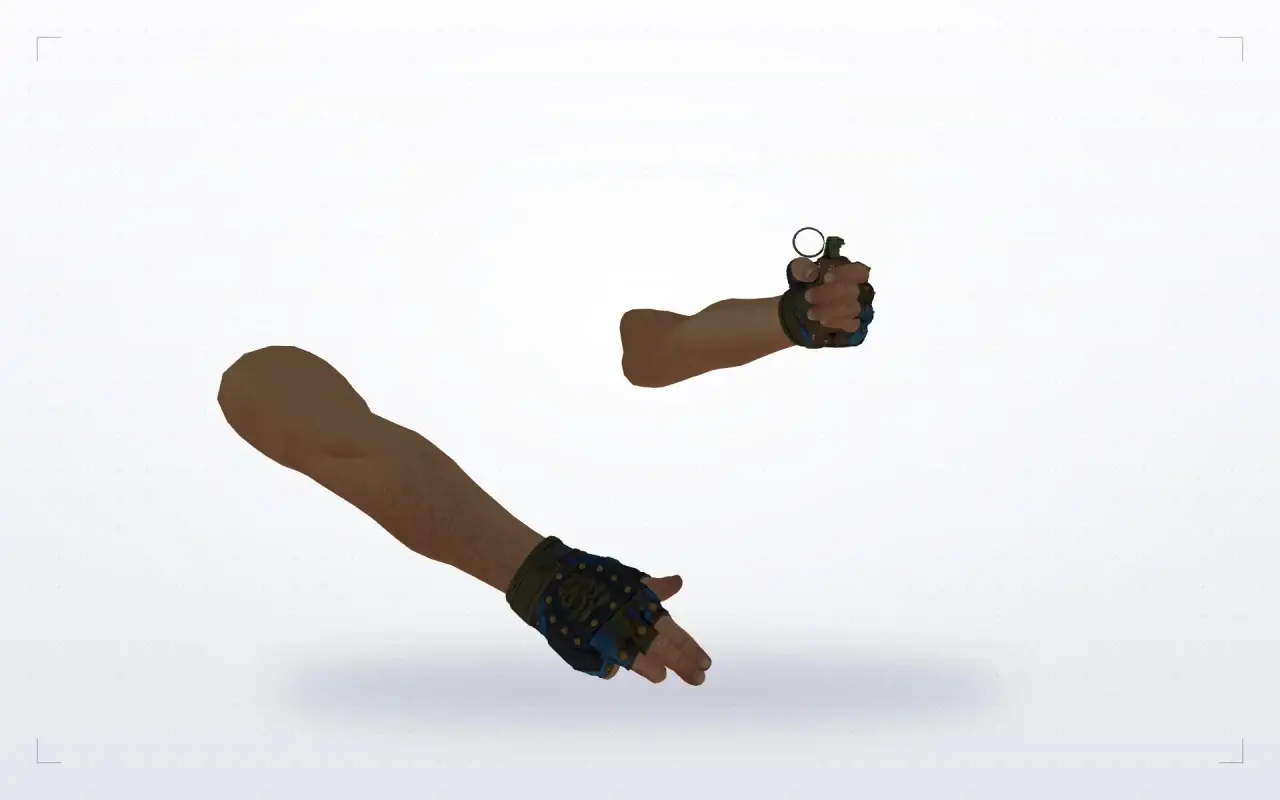 Hydra Gloves Case Hardened Pack — Flashbang: Hydra Gloves Case Hardened Pack