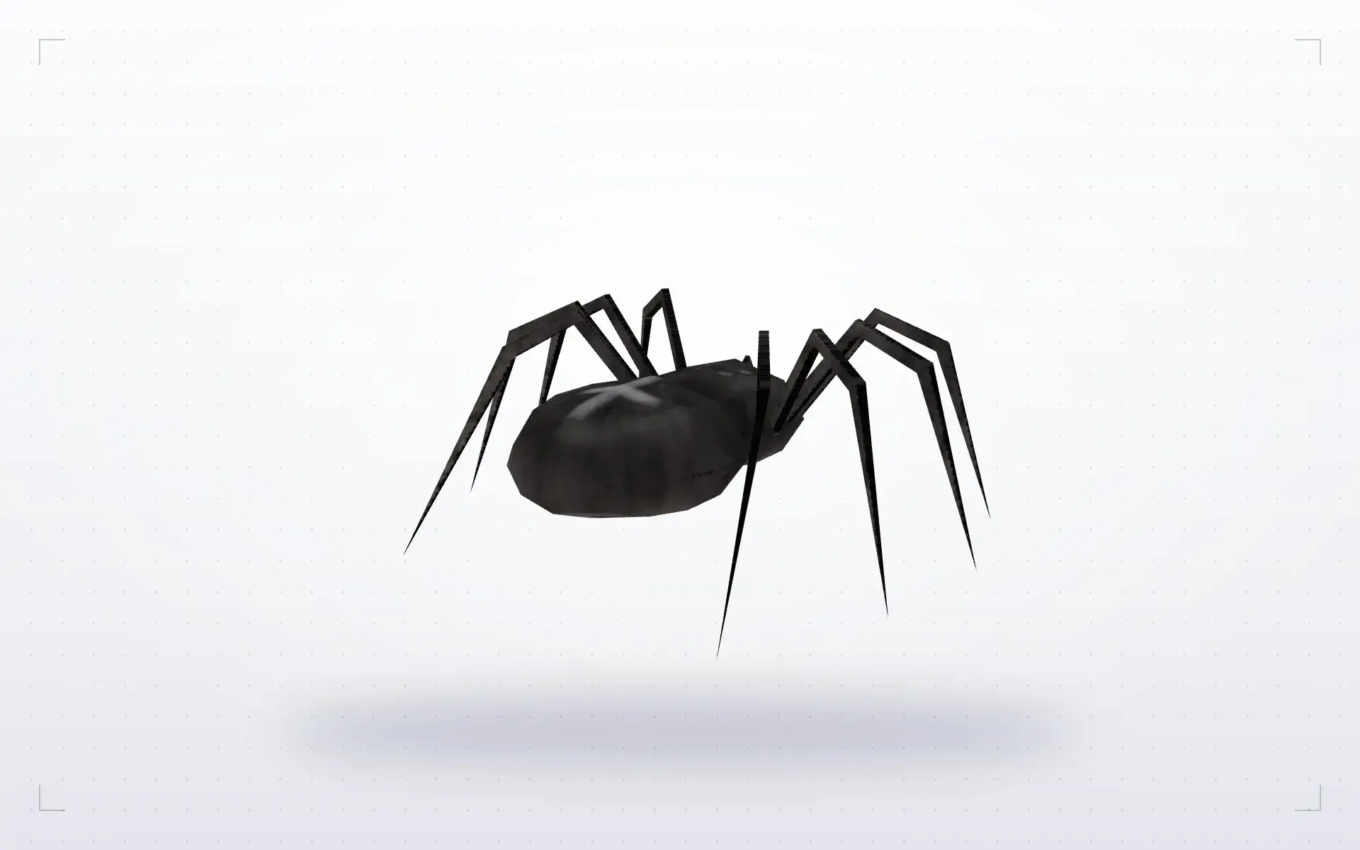 Spider — preview 1