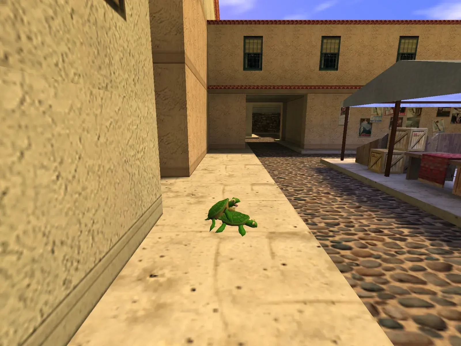 Two Turtles — cs_italy, the market street
