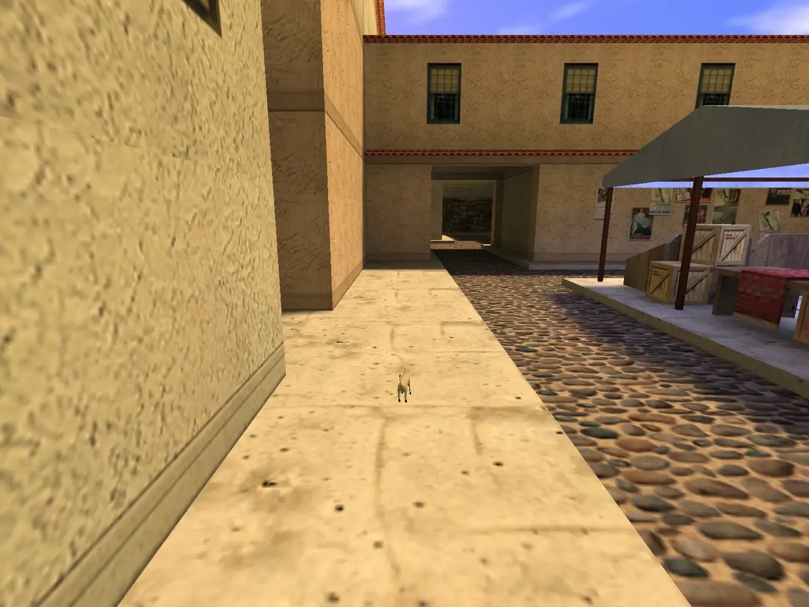 White Cat — cs_italy, the market street
