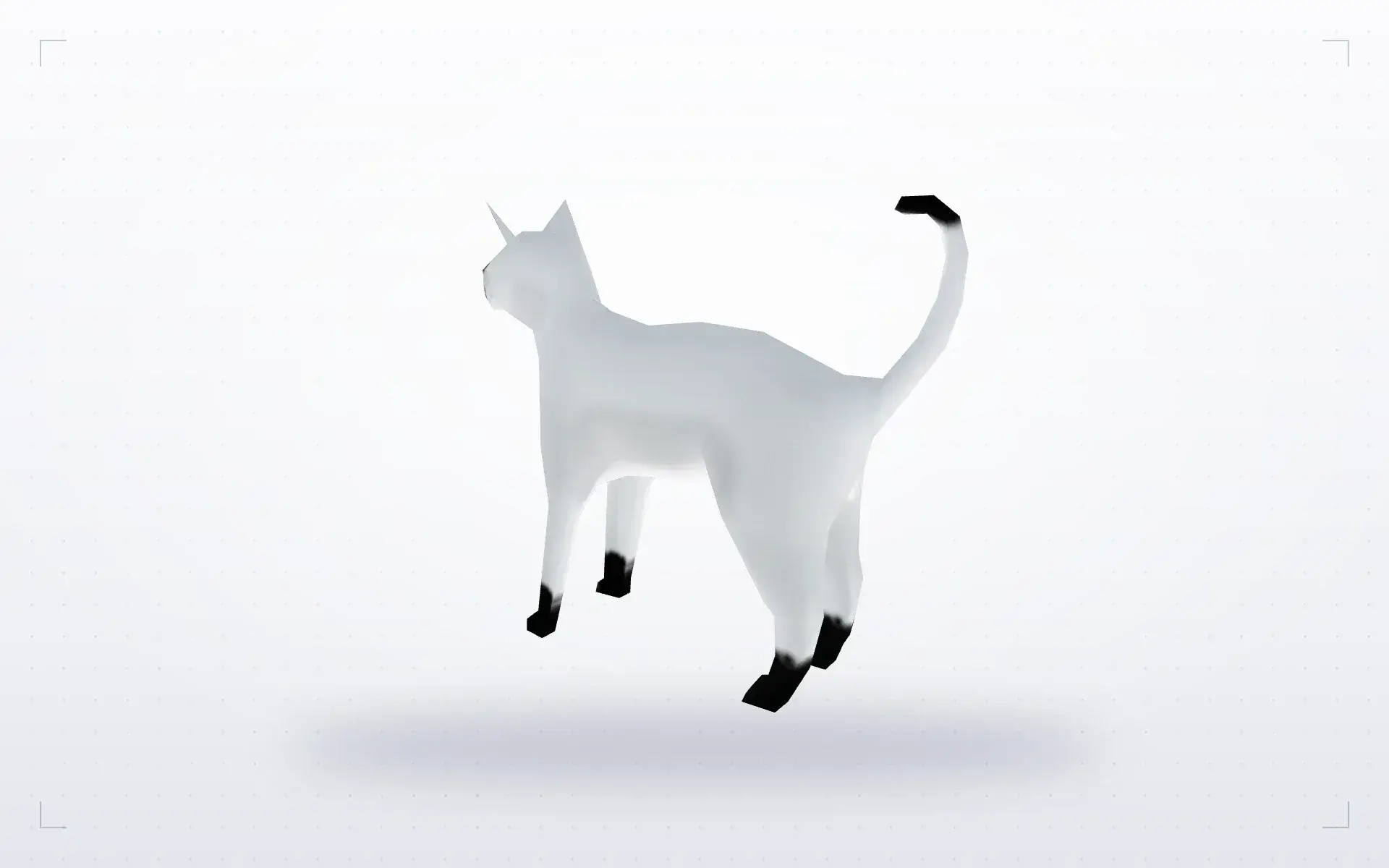 White Cat — preview 1